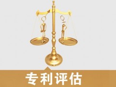 專利的價(jià)值評(píng)估，新手賣家必看